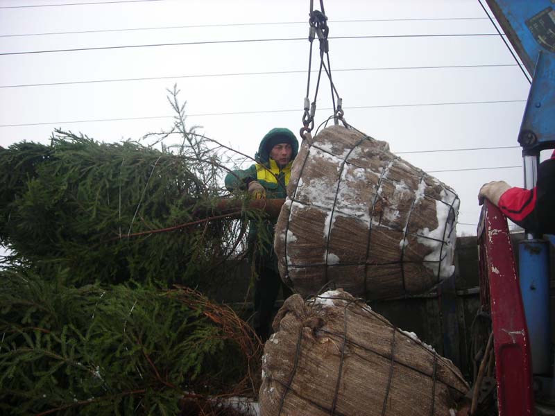 Улица Профсоюзная