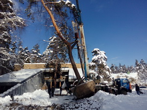 Пересадка деревьев (крупномеров)